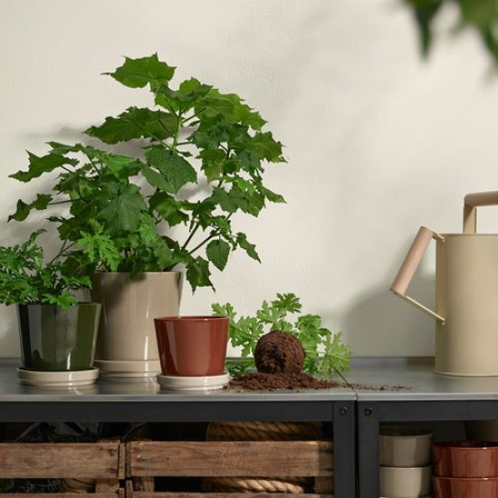 ikea-klotlönn-toprak-saksı-12-cm-kahverengi-bej
