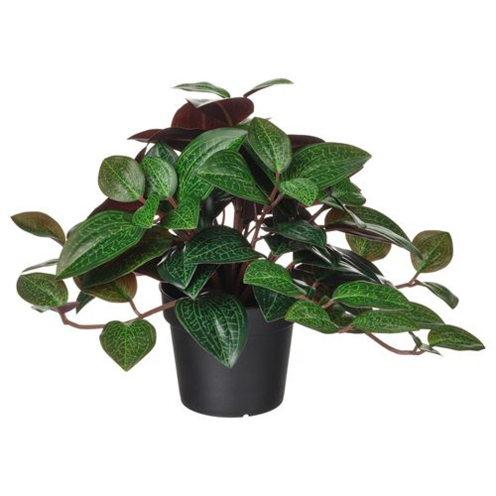 IKEA FEJKA - yapay bitki, 9 cm (yeşil)