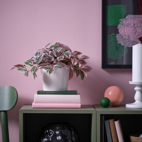 IKEA FEJKA - yapay bitki, 12 cm (yeşil)