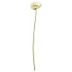 ikea-smycka-yapay-çiçek-51-cm-beyaz