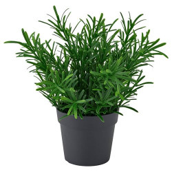 IKEA FEJKA - yapay bitki, 9 cm (yeşil)