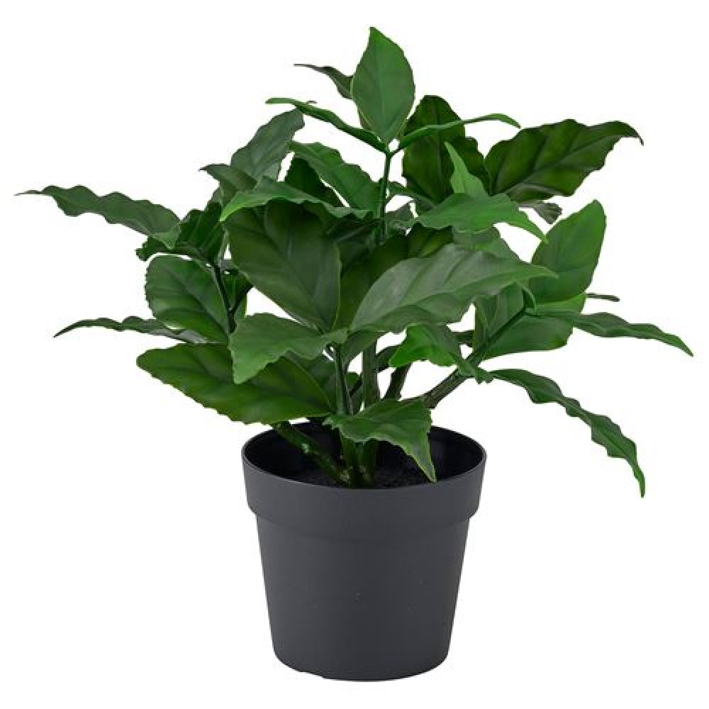 IKEA FEJKA - yapay bitki, 9 cm (yeşil)