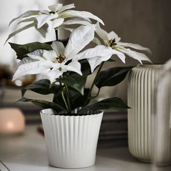 ikea-vinterfint-çelik-saksı-12-cm-beyaz-beyaz