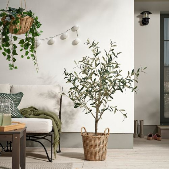 IKEA FLODBJÖRK - plastik saksı, 24 cm (kahverengi)