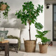 ikea-flodbjörk-plastik-saksı-41-cm-kahverengi-kahverengi