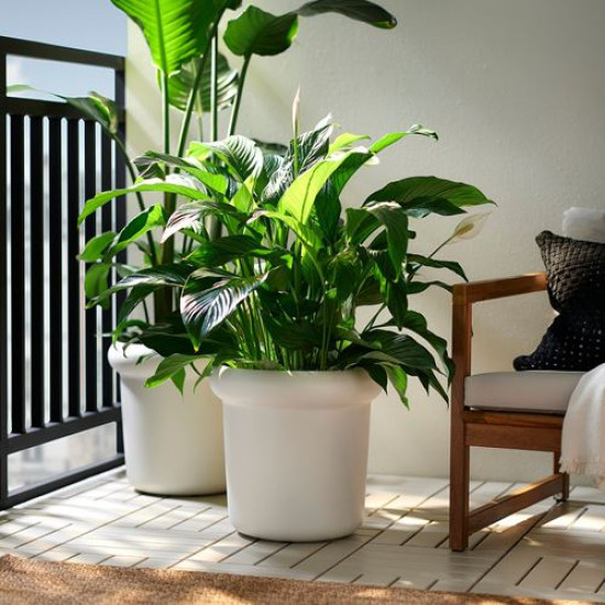 ikea-m-b-rsbuske-çelik-saksı-32-cm-kırık-beyaz-kırık-beyaz