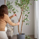 ikea-fejka-yapay-bitki-23-cm-yeşil-yeşil