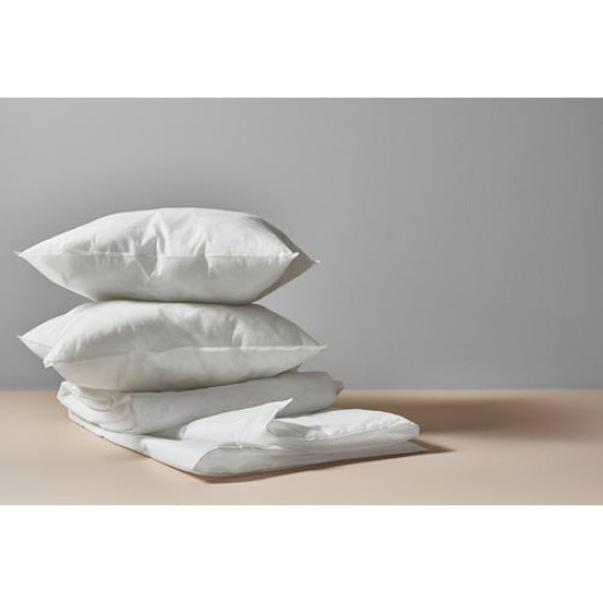 IKEA SKÖLDBLAD - ince dolgulu yastık, 50x60 cm (beyaz)
