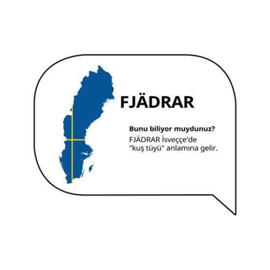 IKEA FJÄDRAR - iç minder, 50x50 cm (kirli beyaz)