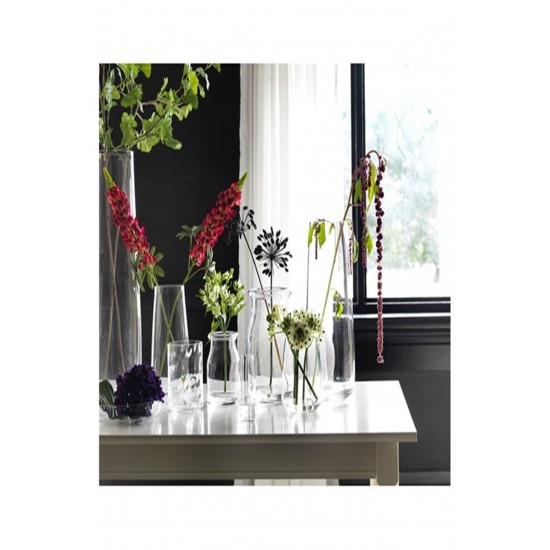 IKEA Berakna Dekoratif Cam Kase