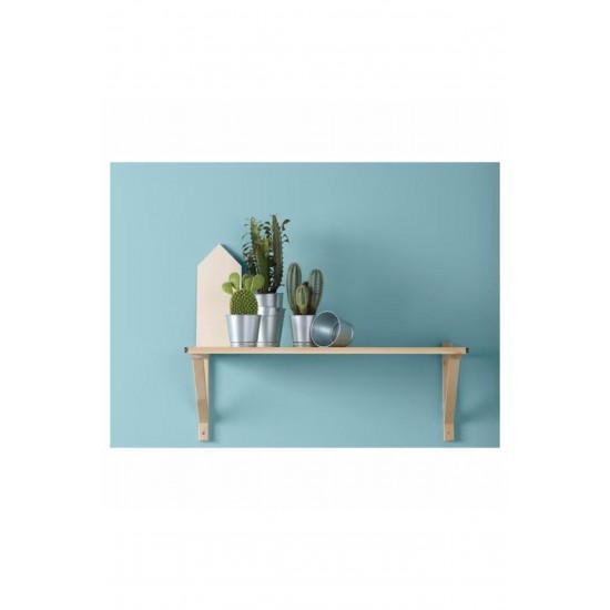 Ikea Boyanabilir Çelik Saksı Bintje Galvanizli 9 cm