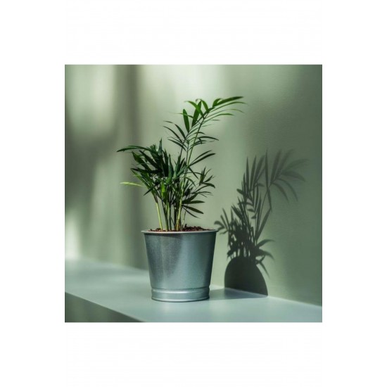 Ikea Boyanabilir Çelik Saksı Bintje Galvanizli 9 cm