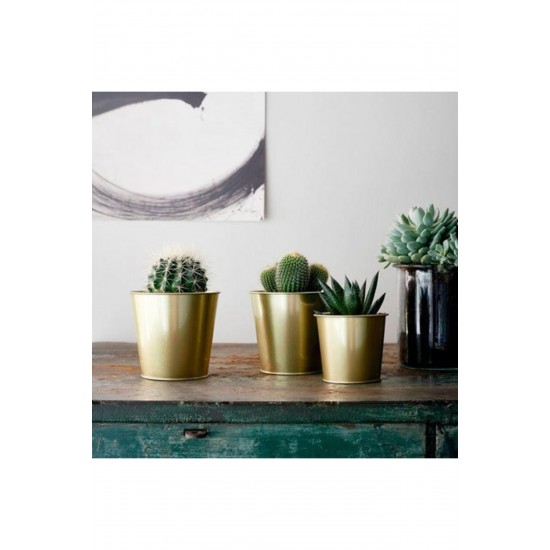 IKEA Daidai Saksı, Pirinç Rengi