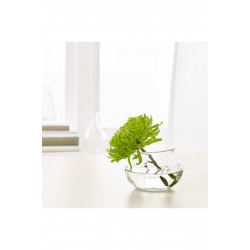 IKEA Viljestark Cam 8 cm Cam Vazo