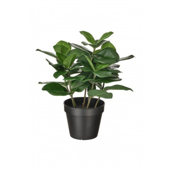 IKEA Clusia Fejka Saksılı Yapay Bitki 