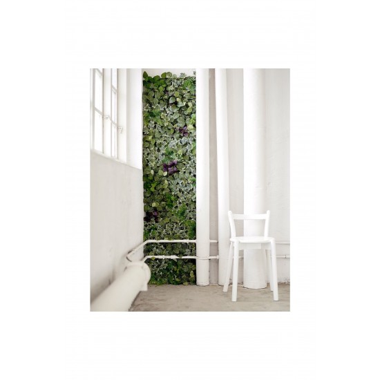 IKEA Fejka Duvar Tipi Yapay Bitki