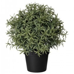 IKEA Fejka Yapay Bitki, Biberiye