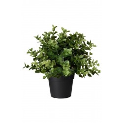 IKEA Fejka Yapay Bitki, Keklikotu