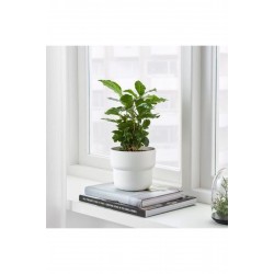 IKEA Förenlıg 12 cm Dekoratif Beyaz Saksı