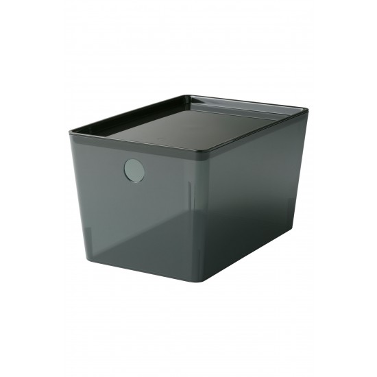 Kapaklı Kutu, Şeffaf Siyah, 18x26x15 Cm, Kuggıs