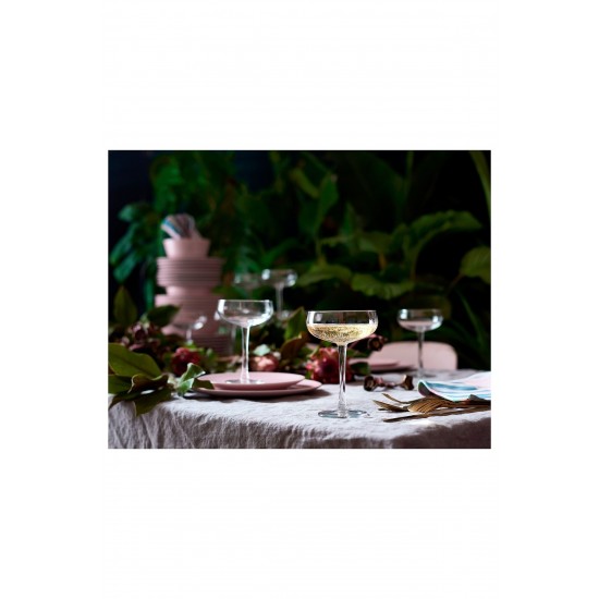 Storhet 2'li Şampanya Kadehi Tatlı Sunum Bardağı Saydam 300 Ml